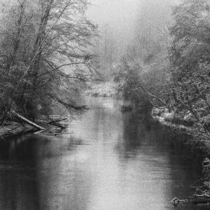 The River II