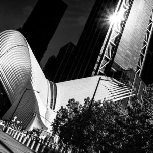 The Oculus