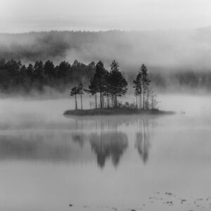 The Island