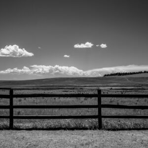 The Wild West