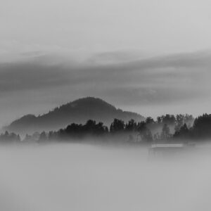 The Fog and The River