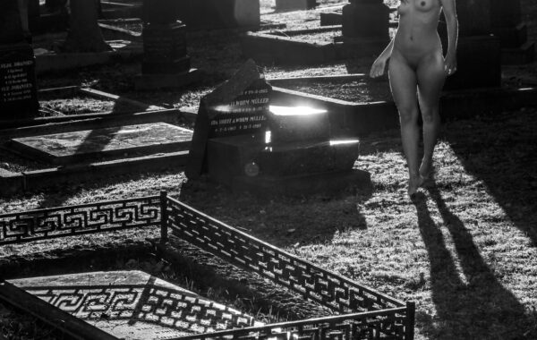 The Graveyard