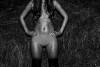 Full 2